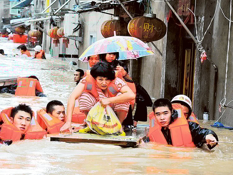 1.1903412-2594602470