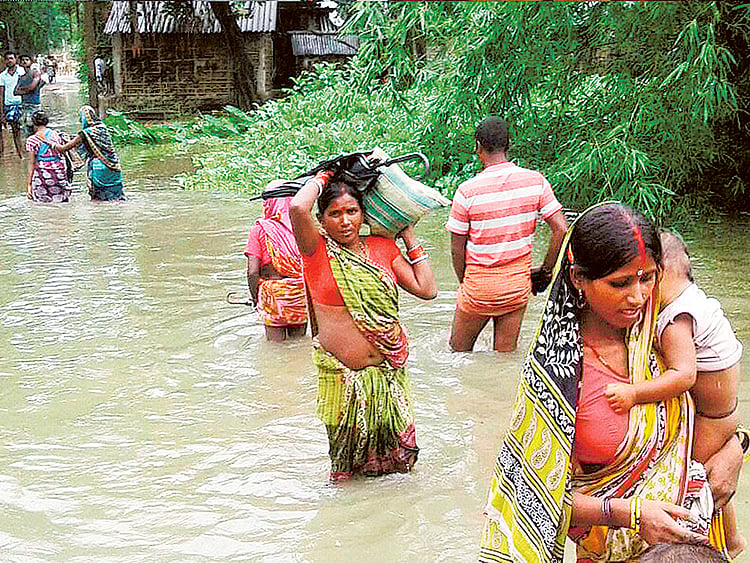 1.1904178-2423632404