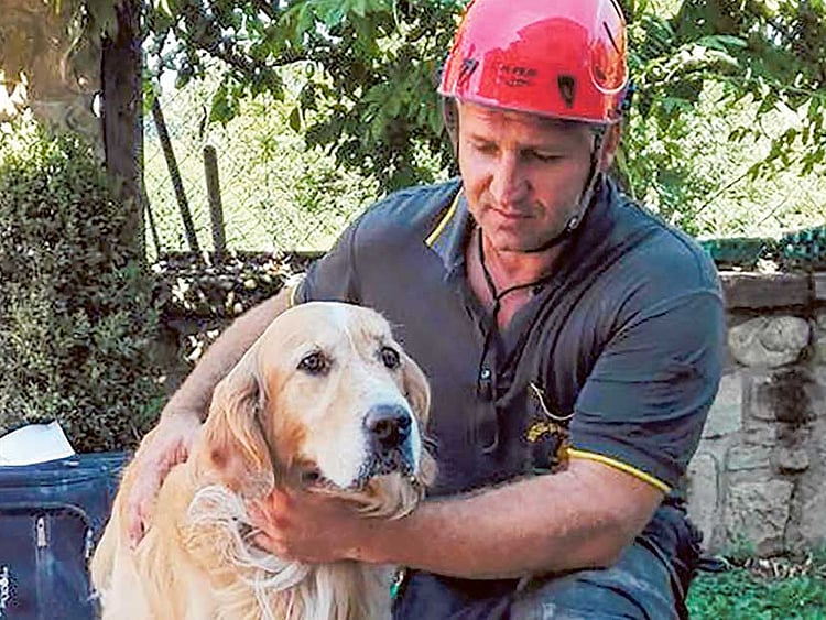 1.1890122-1528121405