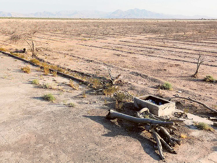 1.1890443-3906233437