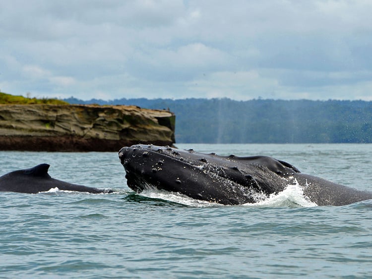 1.1892251-4125438718