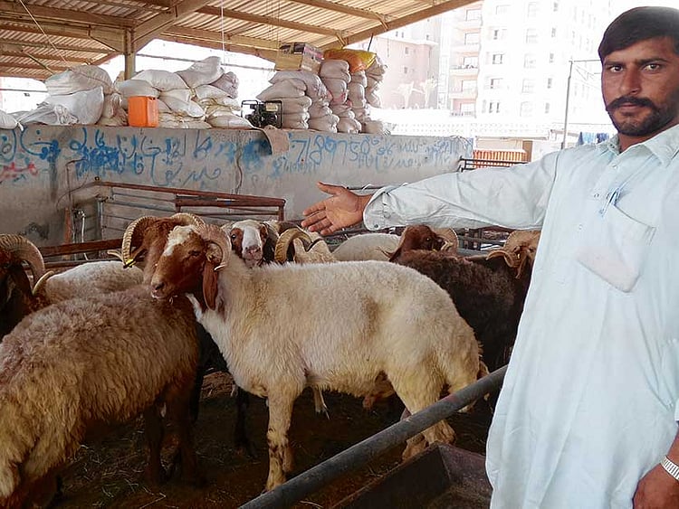 1.1892956-3069963442