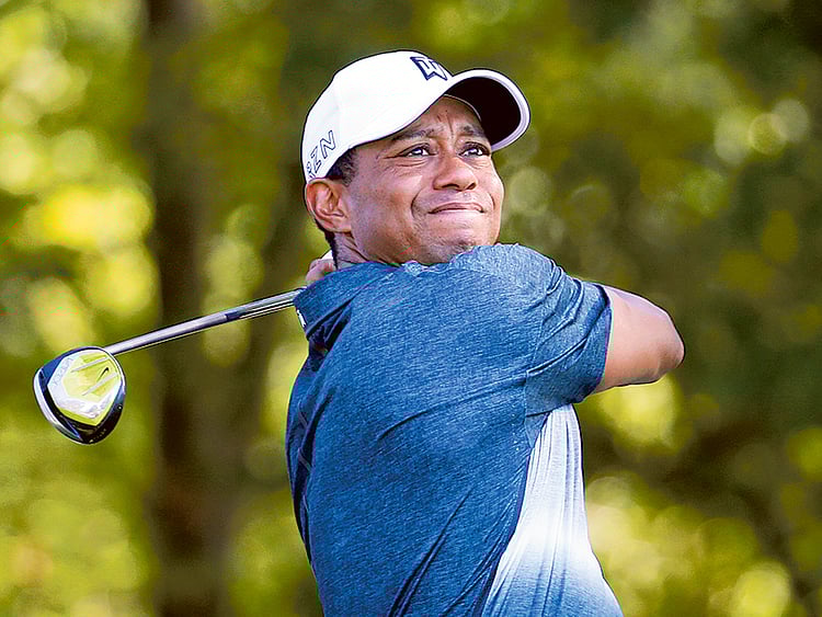 1.1893365-2043148596