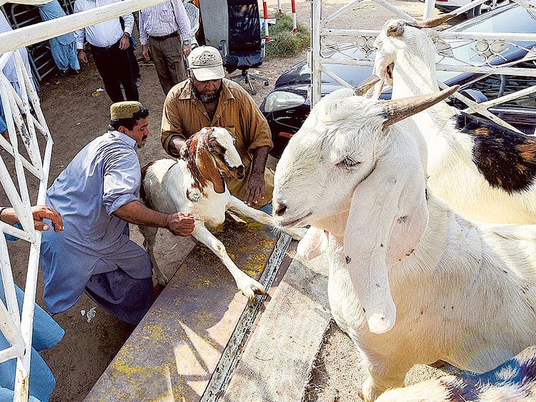 1.1893988-2484750223