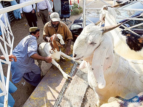 Ahmed Ramzan/Gulf News