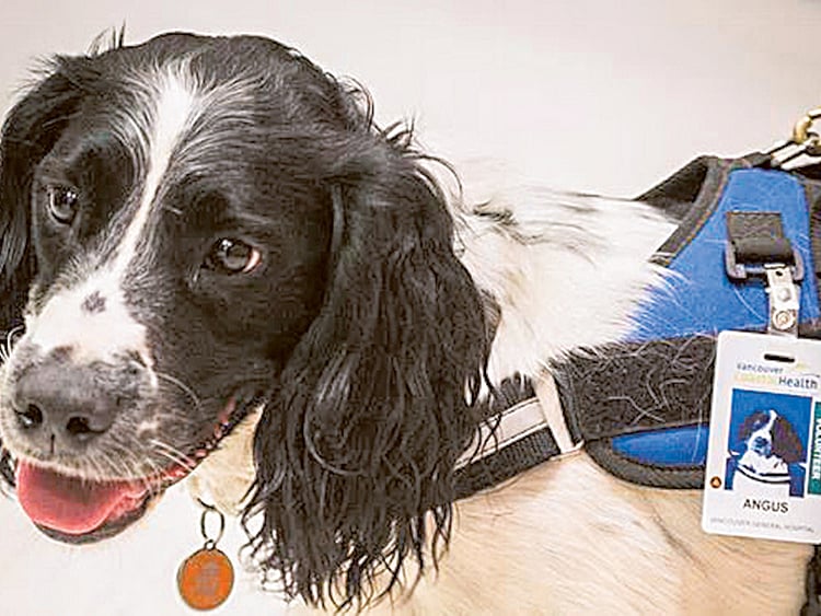 1.1960784-3378625196