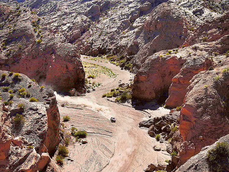 1.1961109-3511481127