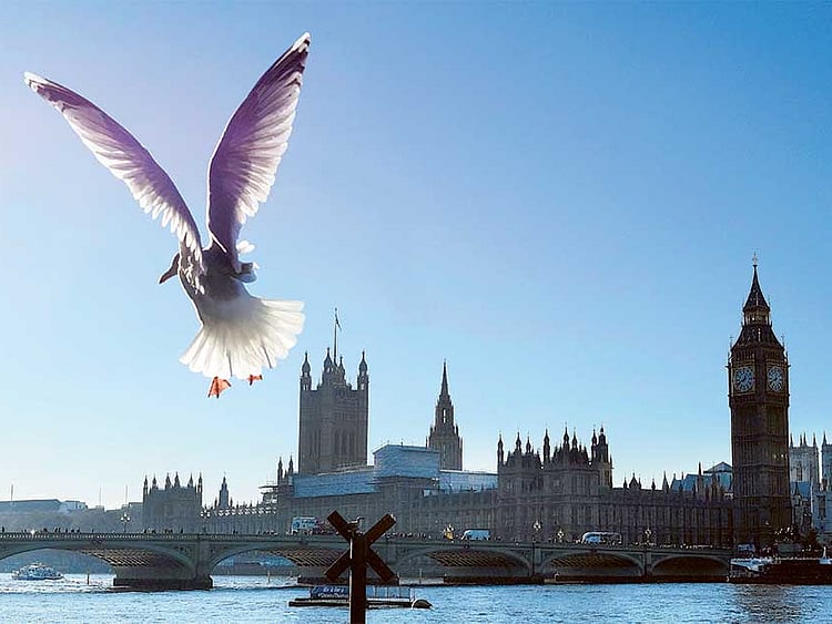 1.1954750-3655806653