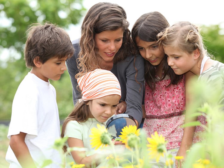 1.1961705-1796099406