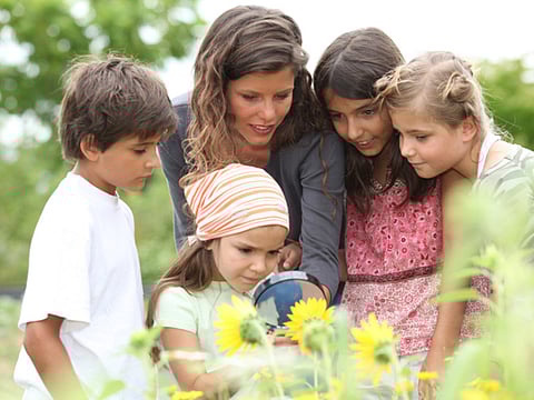 Education for human excellence