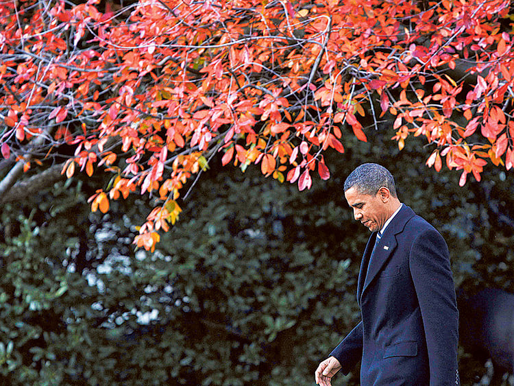 1.1962618-2357290393