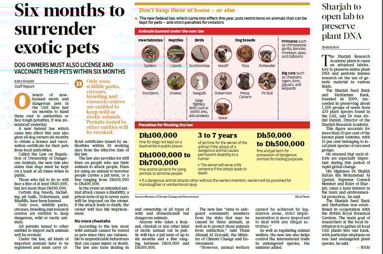 1.1962699-4060580911