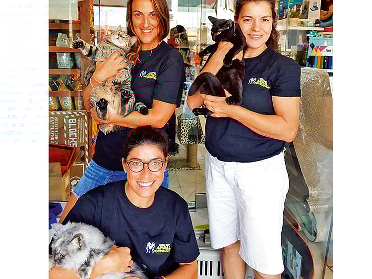 1.1963787-2154588720