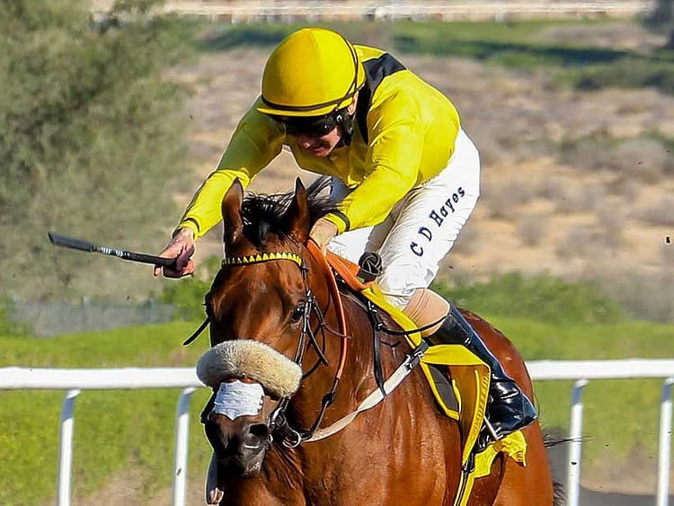 1.1964604-2447002575