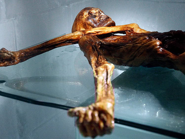 1.1964718-1661644553