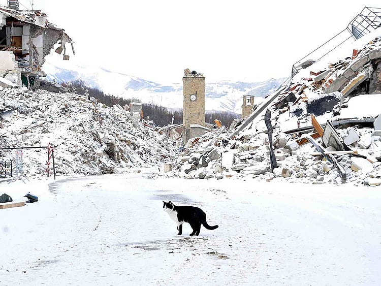 1.1964466-4272080803