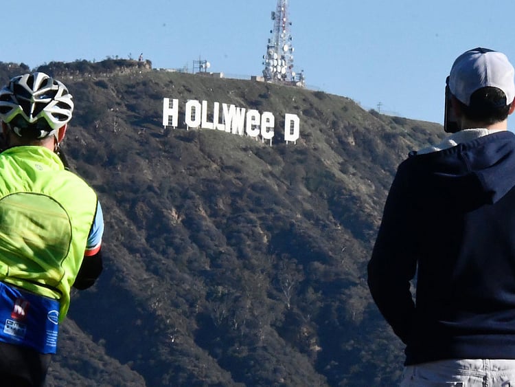 1.1954986-2070060137