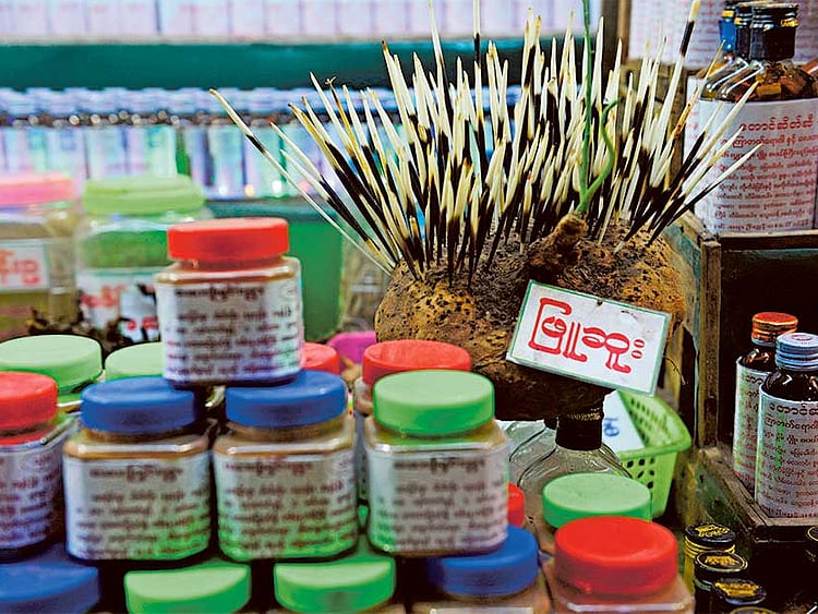 1.1965366-3368775825