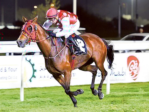 Ahmed Kutty/Gulf News