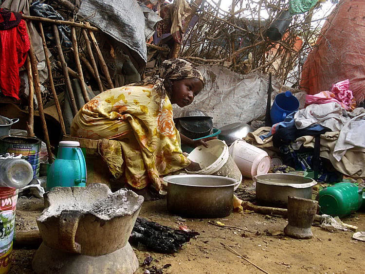 1.1966629-1101819511