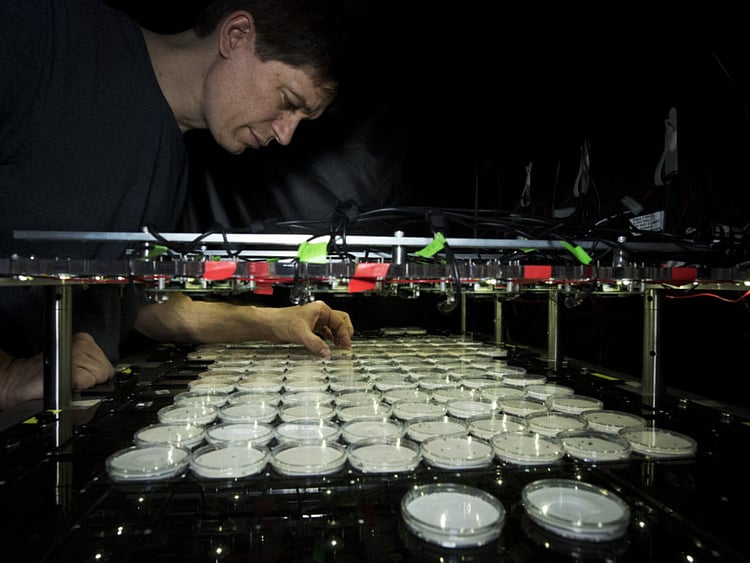 1.1967643-3697015988