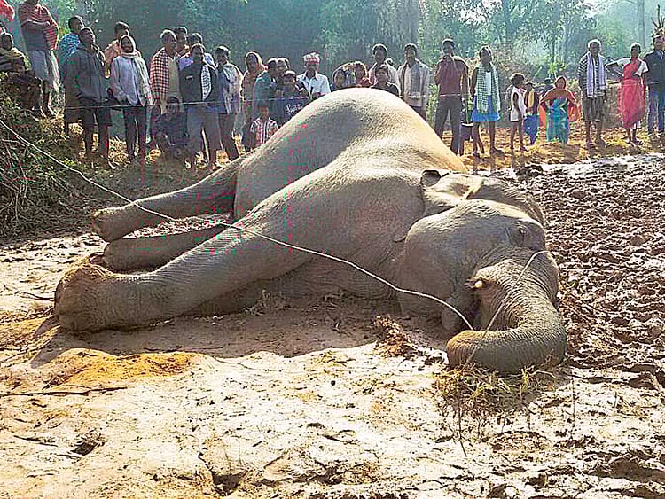 1.1969682-2431199299