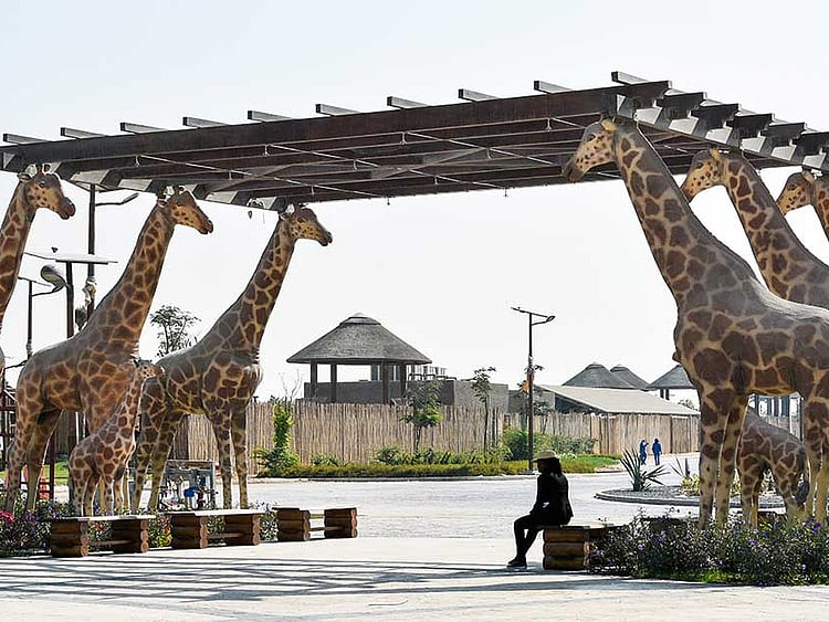 1.2095619-3676521692