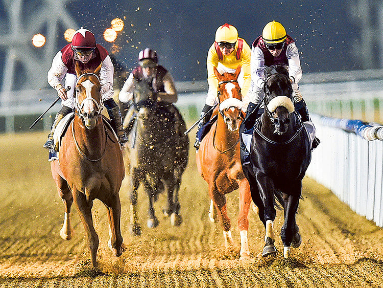 1.1956265-3468791029