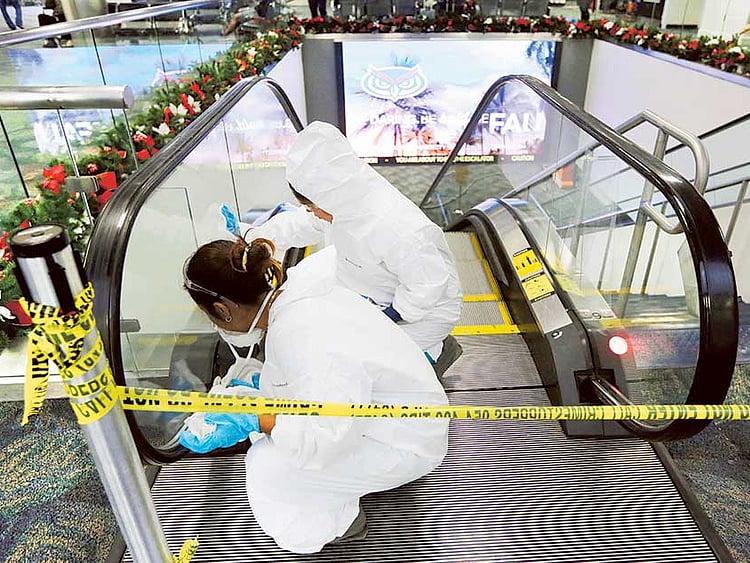 1.1958509-1737159072