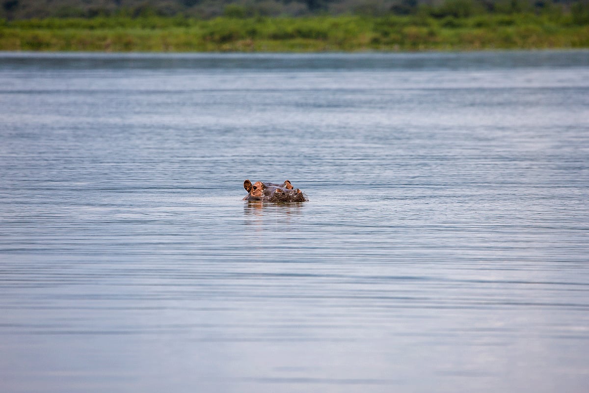 1.1958935-3768092386