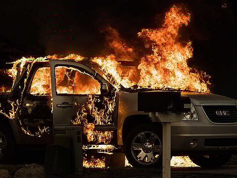 Los Angeles Times/TNS