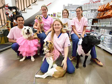 A.K. Kallouche/XPRESS