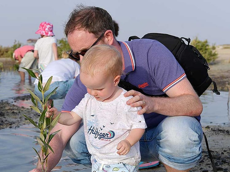 1.2104996-4083443987