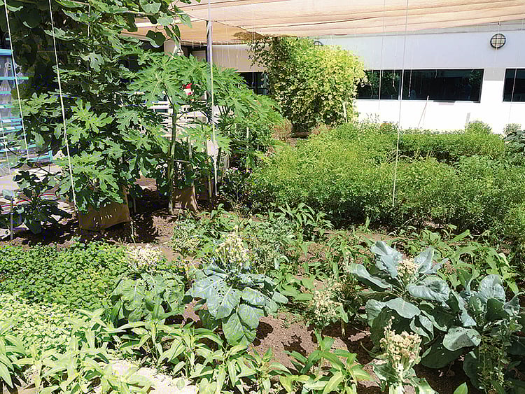 1.2105261-2756902092