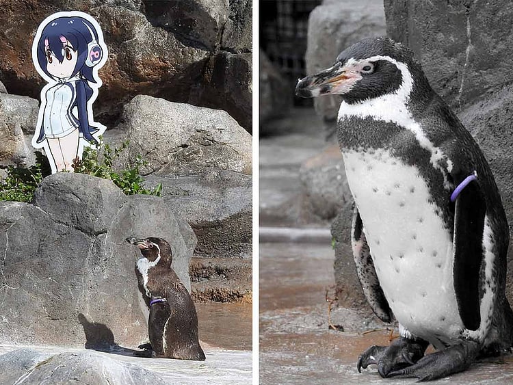 1.2105477-1901301136