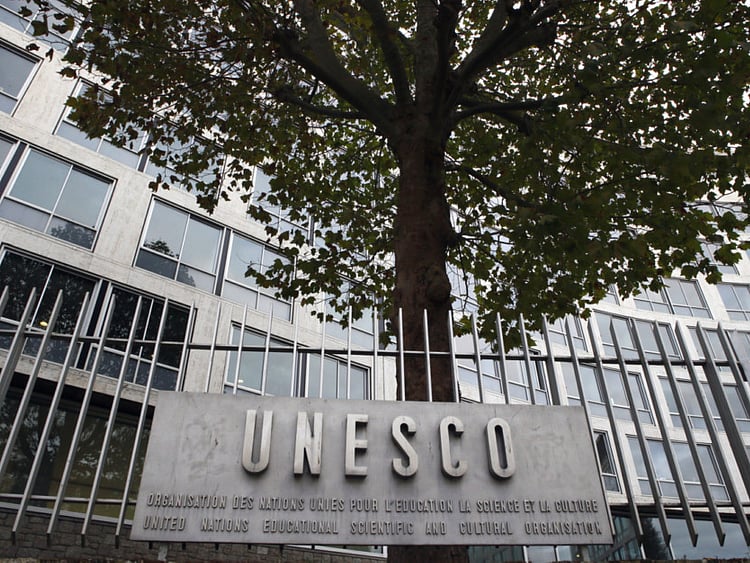 1.2109005-2591319901