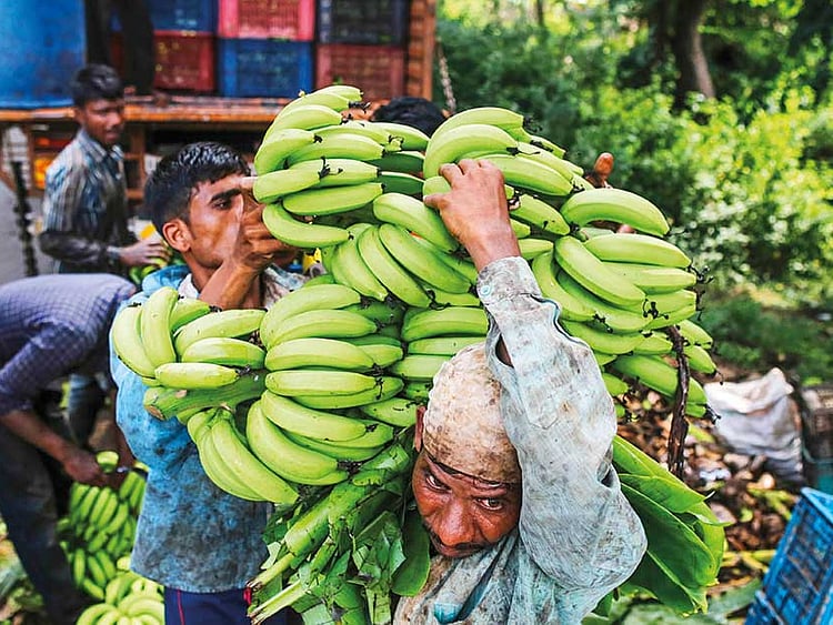 1.2109316-2069636377