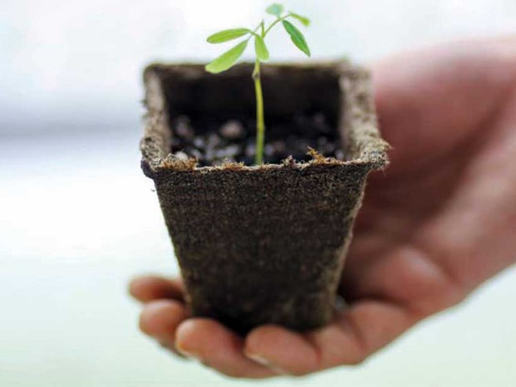 1.2099232-3451395190