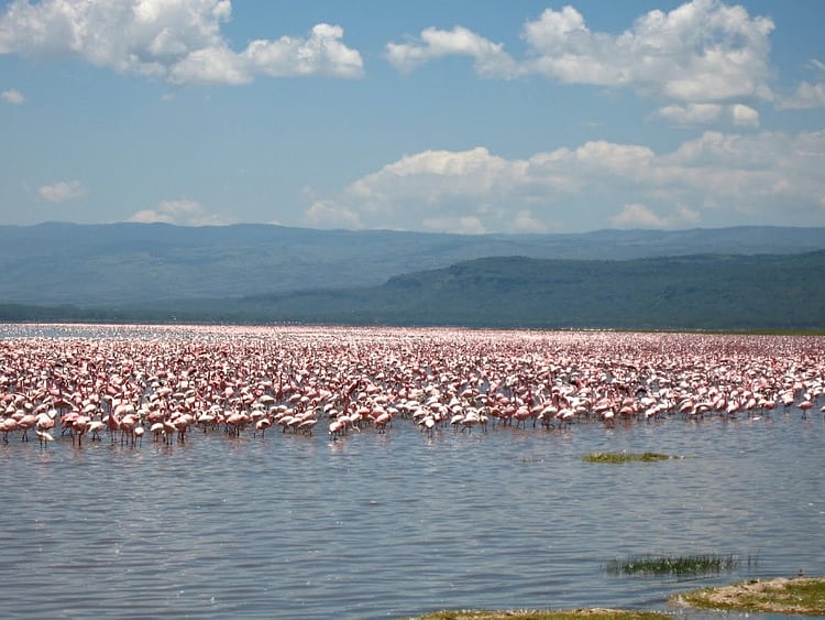 1.2109985-3398345913