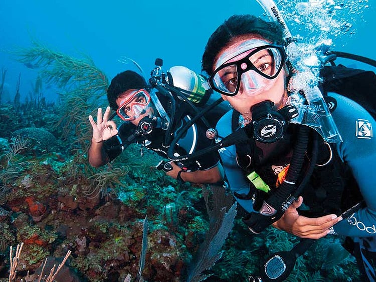 1.2112818-2561556705