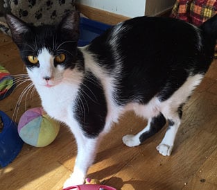 1.2114207-2744435608