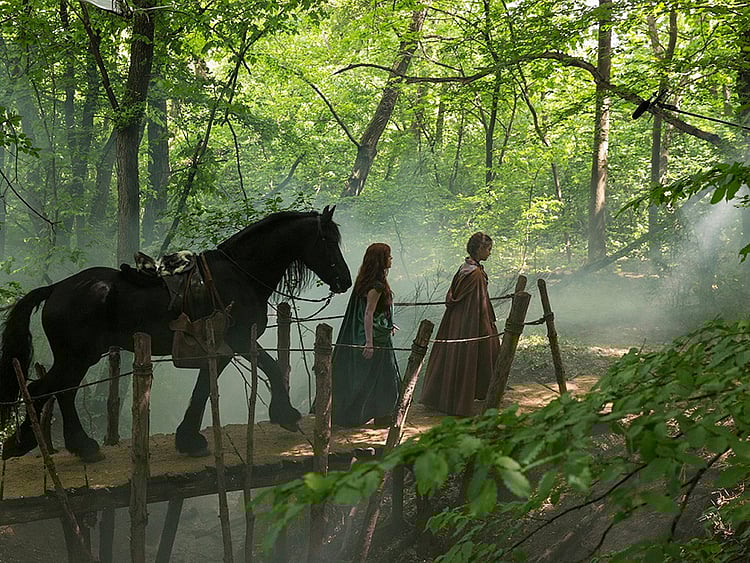 1.2099854-3534256945