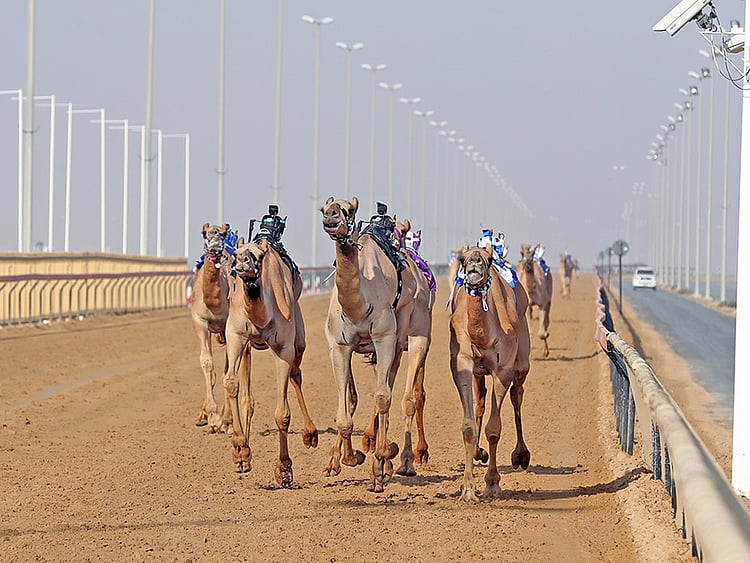 1.2101192-2229057692