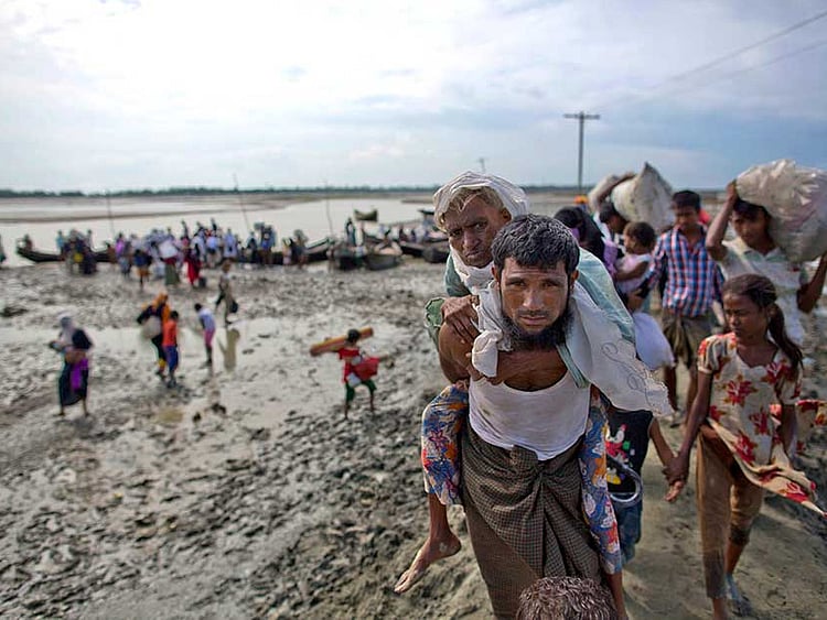 1.2101497-1178340521