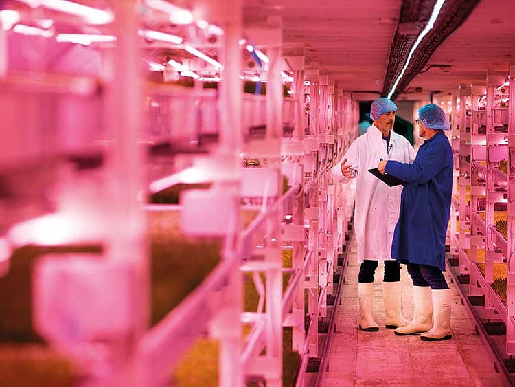 1.2101702-2422599604