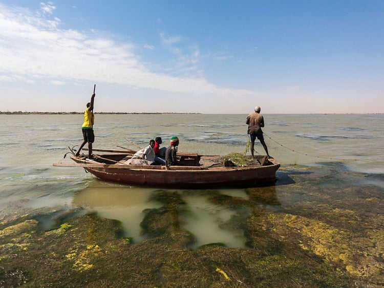 1.2116757-1744866793