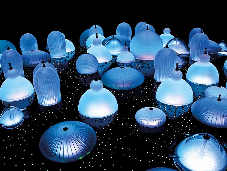 1.2122852-3419857963