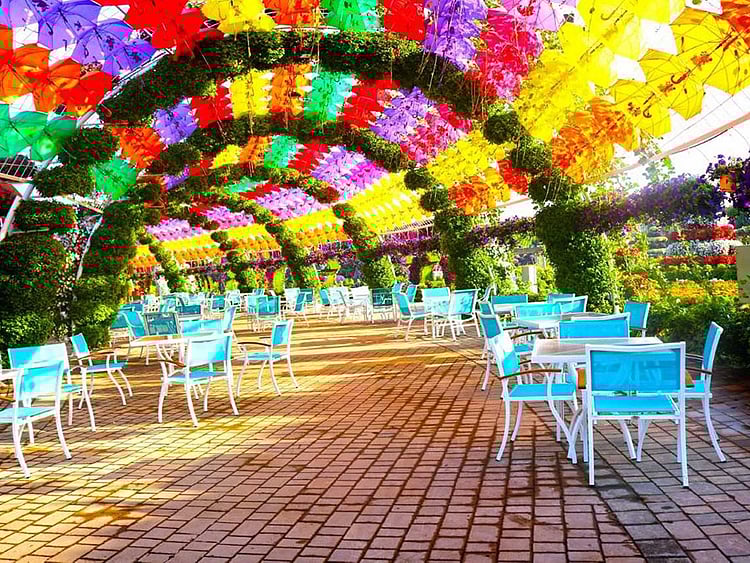 1.2123805-1885034134