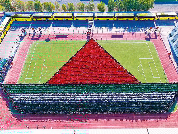 1.2124406-1202533263