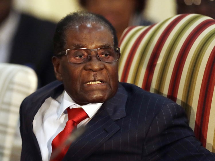 1.2126099-3001300744